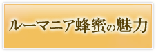 ルーマニア蜂蜜の魅力