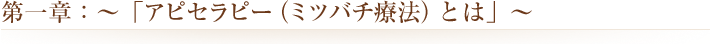 第一章：〜「アピセラピー（ミツバチ療法とは）」〜 