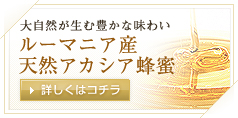 ルーマニア産 天然アカシア蜂蜜